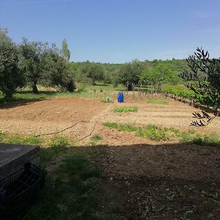 Apartmani Sladic Skradin Exteriör bild