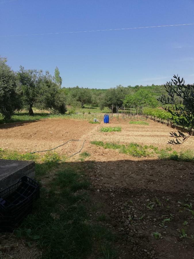 Apartmani Sladic Skradin Exteriör bild